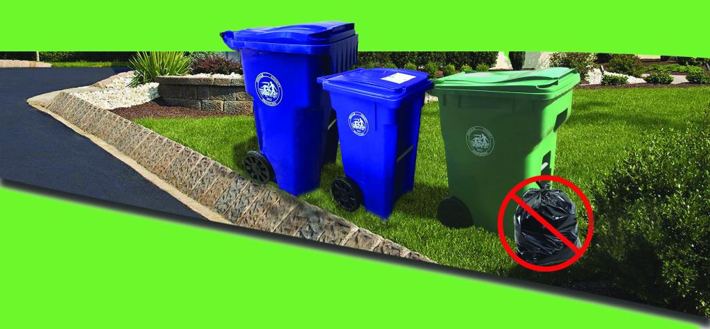Roll Cart Requests | DeKalb County GA